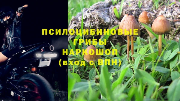 spice Беломорск