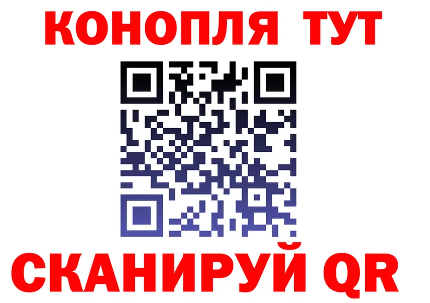 Alfa_PVP СК как войти это hydra Богданович